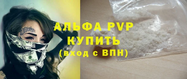 стафф Арсеньев