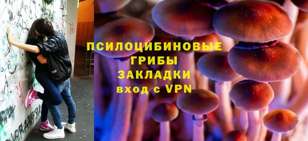 дмт Баксан