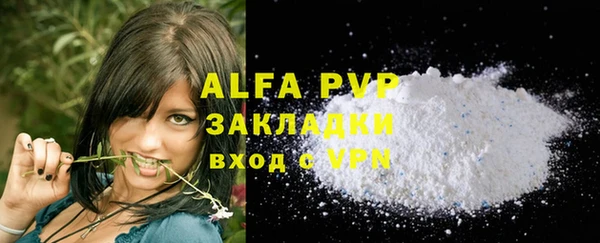 стафф Арсеньев