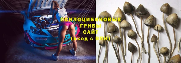 дмт Баксан